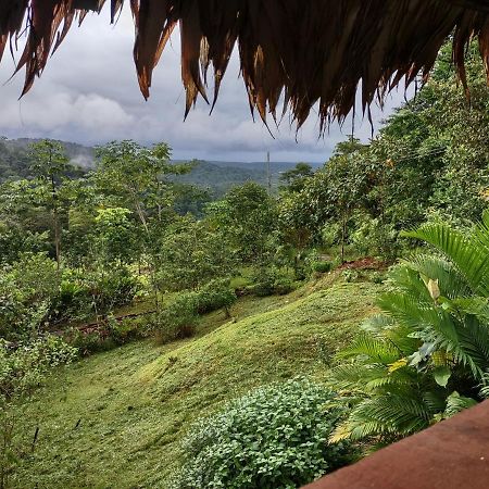 Barba Negra Adventure House Villa Sierpe Buitenkant foto